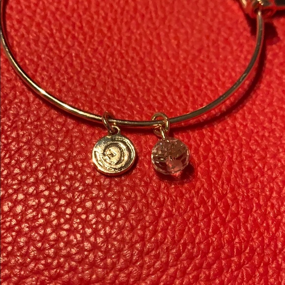Alex & Ani Love This Life Charm Bracelet - Picture 5 of 7